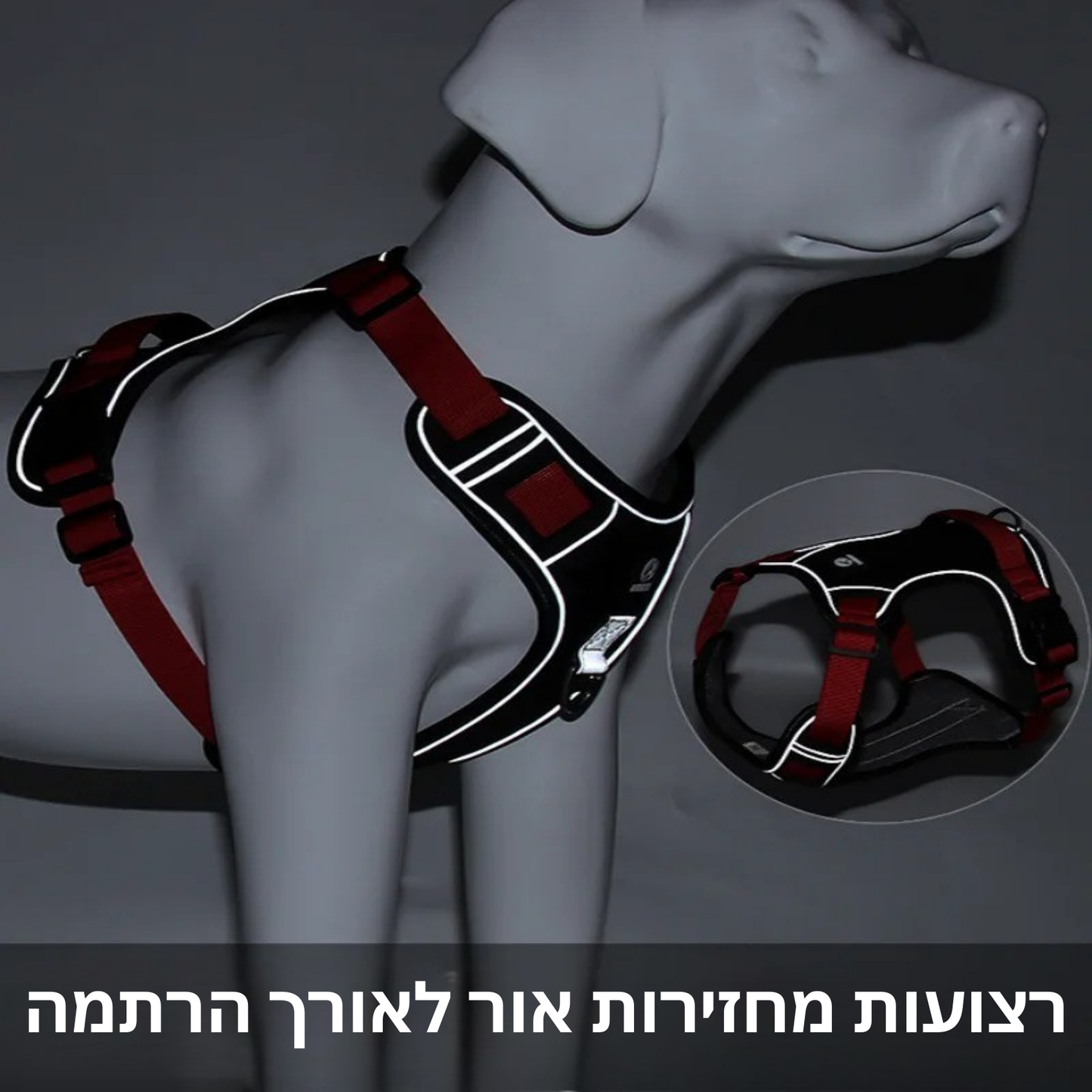 רתמה טקטית לכלב – נוחות, שליטה וביטחון