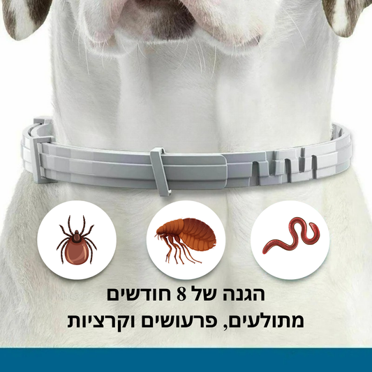 קולר רפואי נגד פרעושים וקרציות – הגנה טבעית ל-8 חודשים